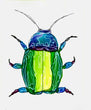 Tie-Dye Beetle Bug 5x7